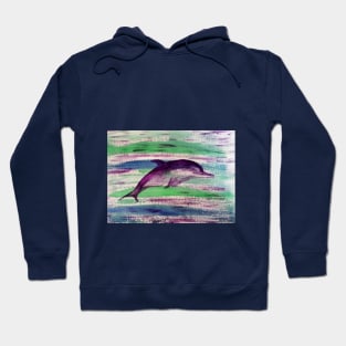 Dolphish Hoodie